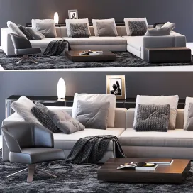 Minotti sofa